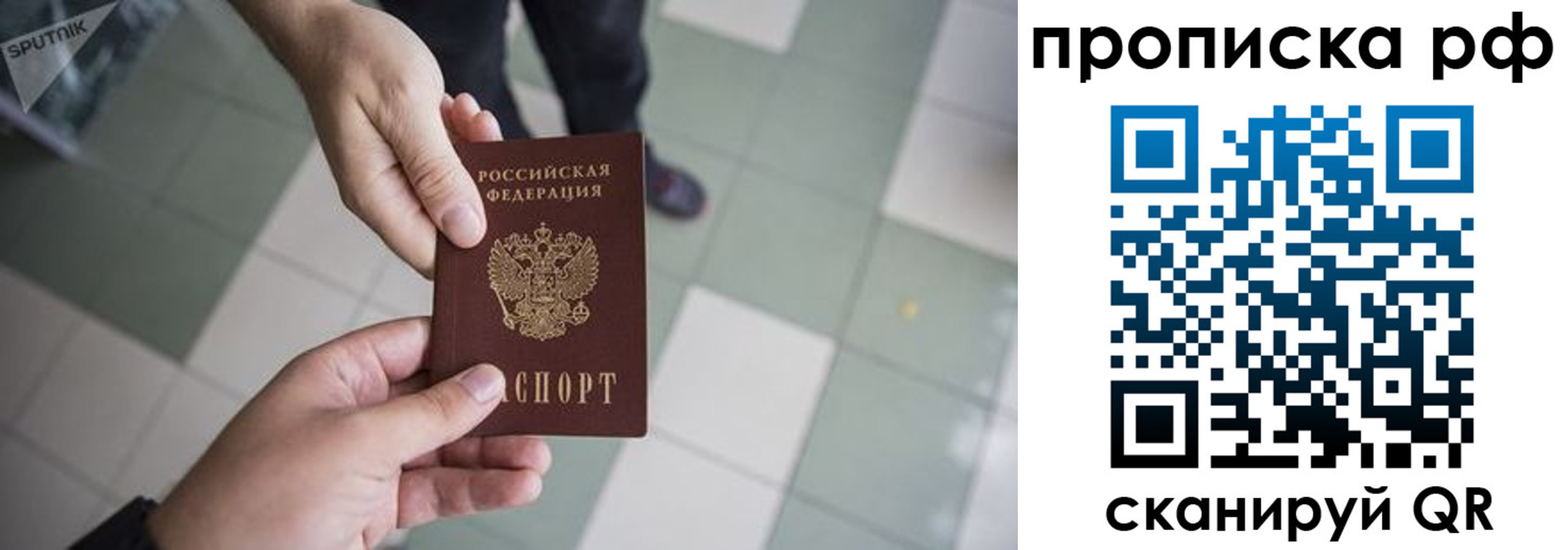 прописка гарантия в Талице